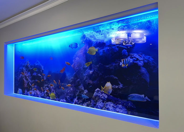 Underwater (LED strip lights not included)